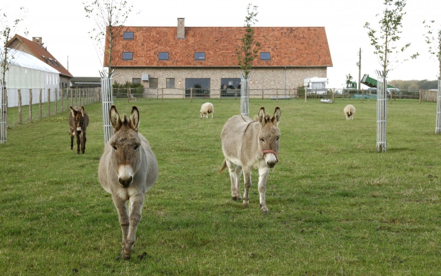 DAGUITSTAPPEN