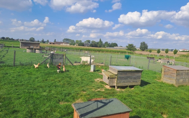 Afbeelding van WhatsApp op 2024-03-19 om 22.09.31_d2760c94
