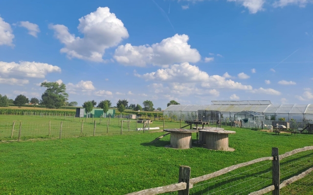 Afbeelding van WhatsApp op 2024-03-19 om 22.09.14_f28b979f
